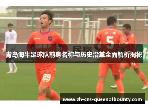 青岛海牛足球队前身名称与历史沿革全面解析揭秘