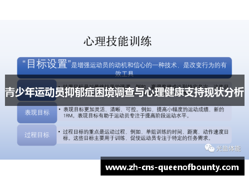 青少年运动员抑郁症困境调查与心理健康支持现状分析 青少年运动员抑郁症困境调查与心理健康支持现状分析